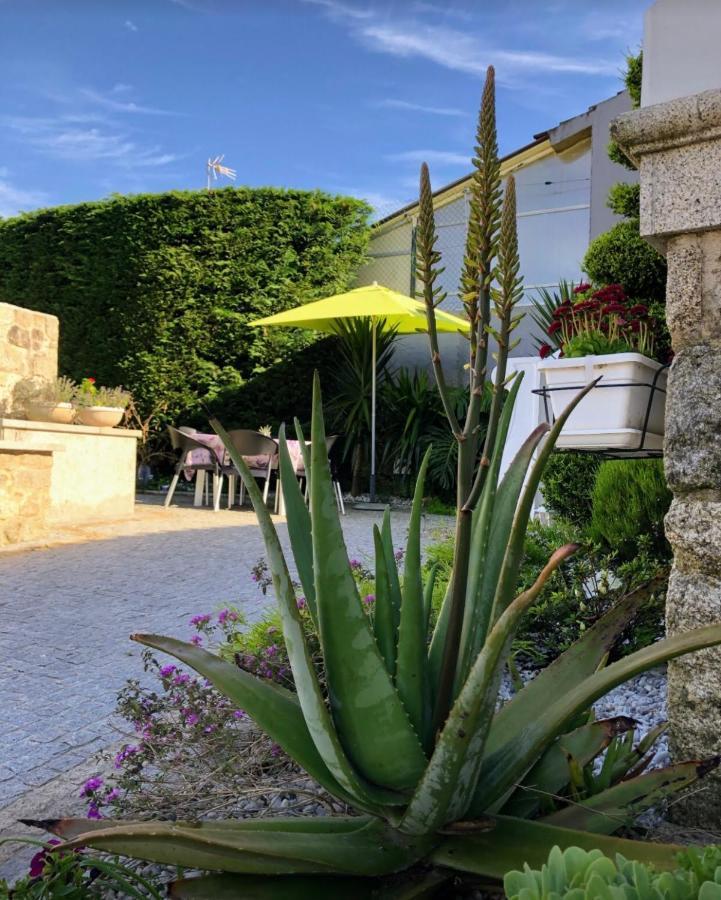 Casa Pedro E Ines Villa Viana do Castelo Exteriör bild